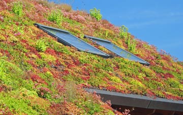 Ferne living roof systems