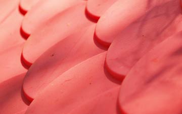 Ferne plastic roof costs