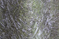 Ferne fibreglass roof work